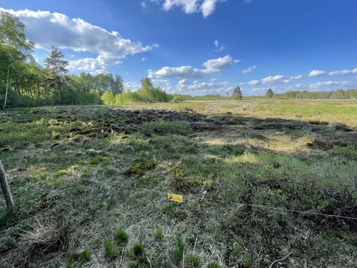 Rund um das Schwenninger Moos