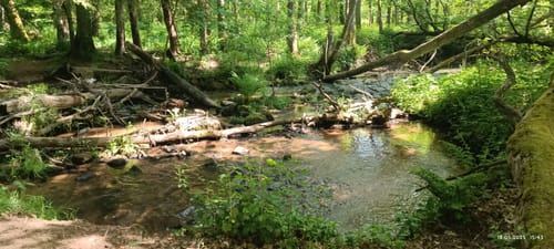 Himmels Gääs Paad (Traumschleife)