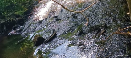 Himmels Gääs Paad (Traumschleife)