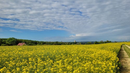 Weißenfels - Naumburg - Bad Sulza