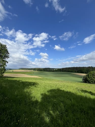 Proßer Leitenweg RWF 63