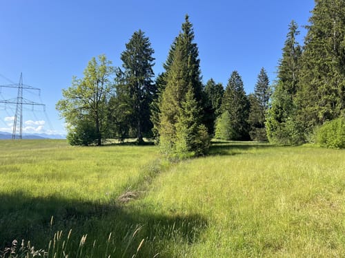 Hagspiel - Leintobel - Haslach