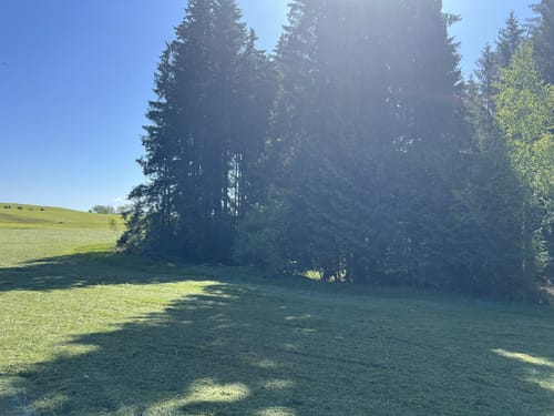 Hagspiel - Leintobel - Haslach