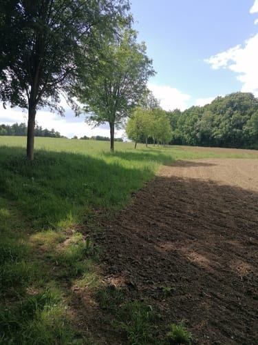 Venner Mühle - Venner Aussichtsturm