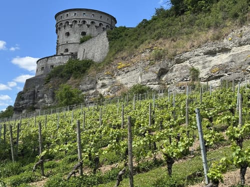 Festung Marienberg in Würzburg