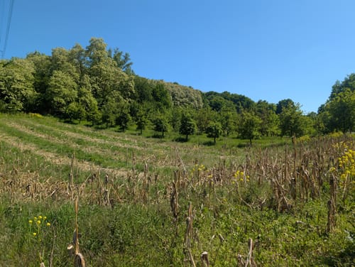 Streuobstwiesenweg (Traumpfad)