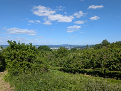 Streuobstwiesenweg (Traumpfad)