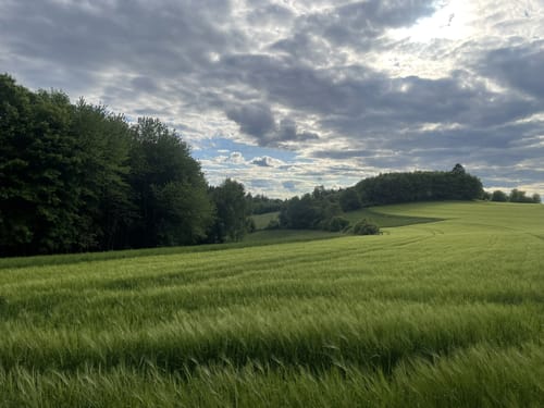 Pandurensteig Etappe 1: Waldmünchen - Cham