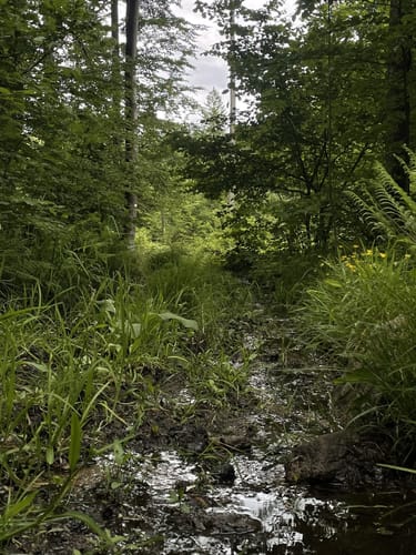Pandurensteig Etappe 1: Waldmünchen - Cham