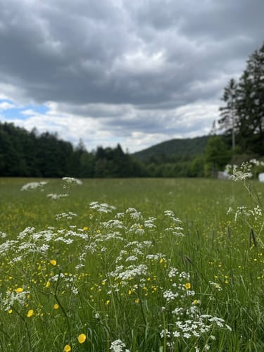 Pandurensteig Etappe 1: Waldmünchen - Cham