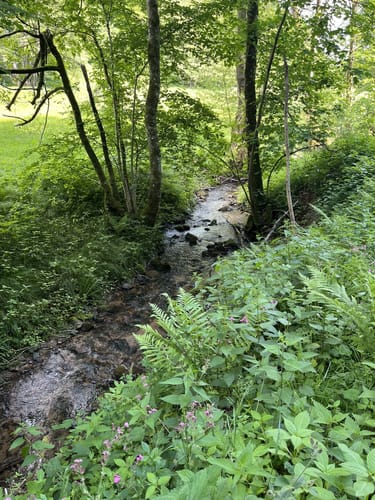 Esel Schnuppertour