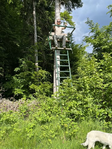 Esel Schnuppertour