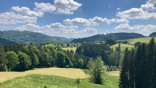 Fahrnbuck - Wambach Rundweg