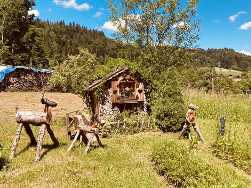 Fahrnbuck - Wambach Rundweg