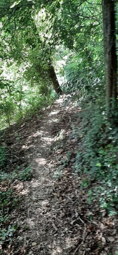 Binauer Rundweg
