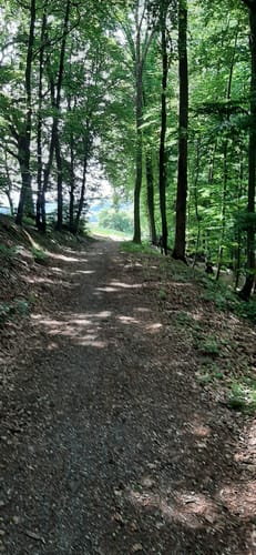 Binauer Rundweg