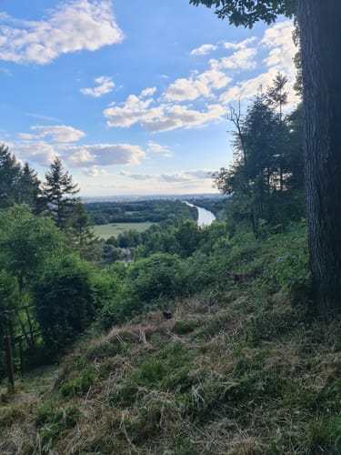 Mainblick, Mainleite und Schindturm