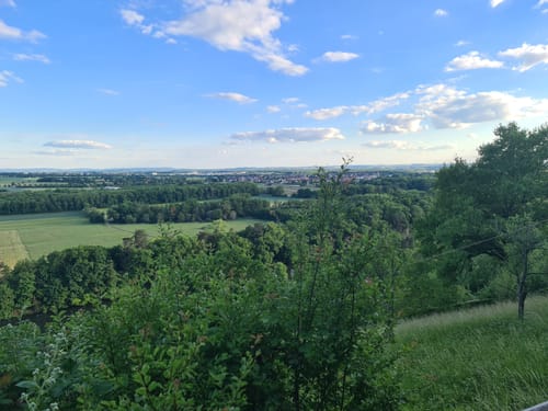 Mainblick, Mainleite und Schindturm