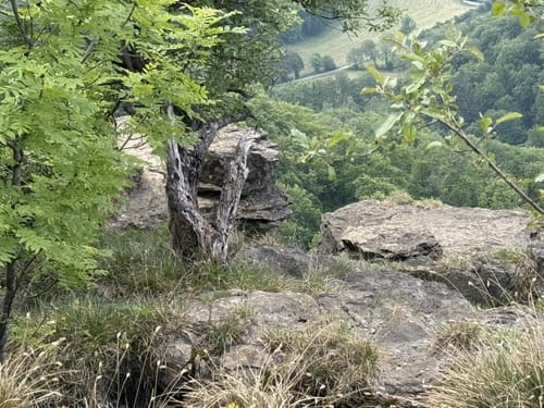 Welliehausen - Rohdetal