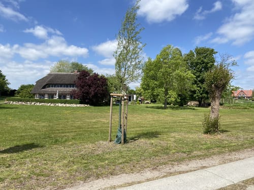 Putbus - Neuendorf - Wreechen