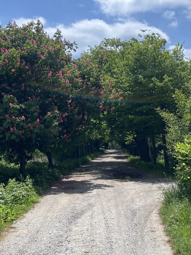 Putbus - Neuendorf - Wreechen