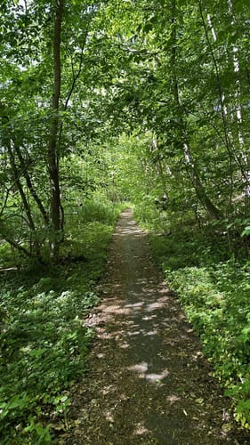 Durchs Habernisser Moor