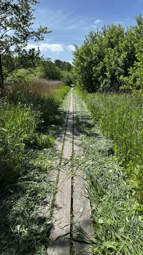 Durchs Habernisser Moor