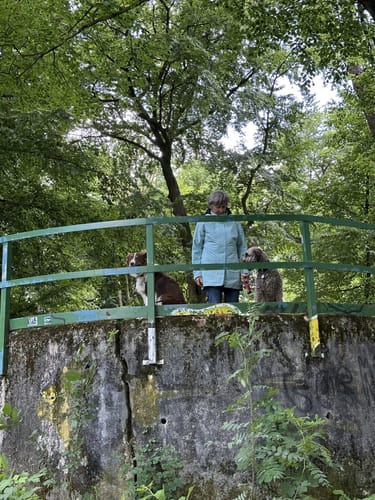 Süchtelner Höhen A1: Bismarckturm