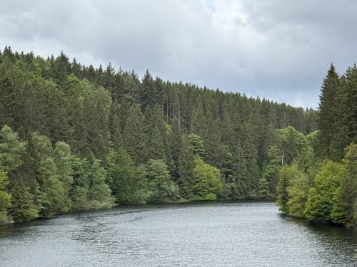 Höfen - Perlenbachtalsperre - Kluckbachtal
