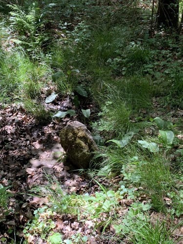 Europäischer Wasserscheideweg (Fernwanderweg)