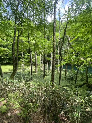 濁池（十二湖） - hikes and trails to get you there | AllTrails