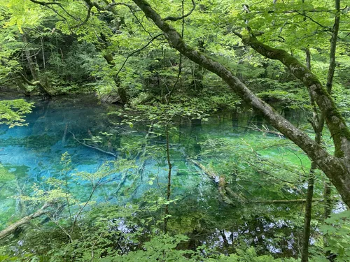 冬の湖 冬路山】絶景の大パノラマが楽しめる展望の稜線歩き｜Sapporo