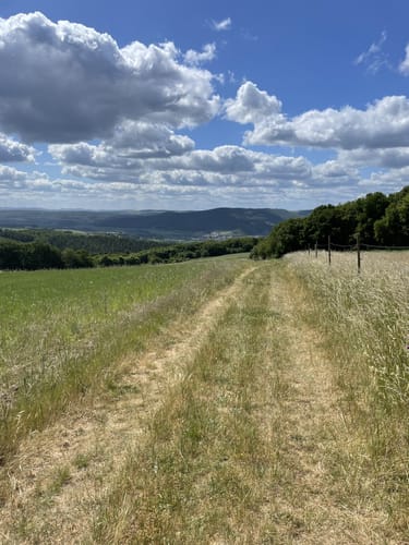 Weilerer Kirschenweg