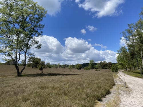 Durch das Büsenbachtal