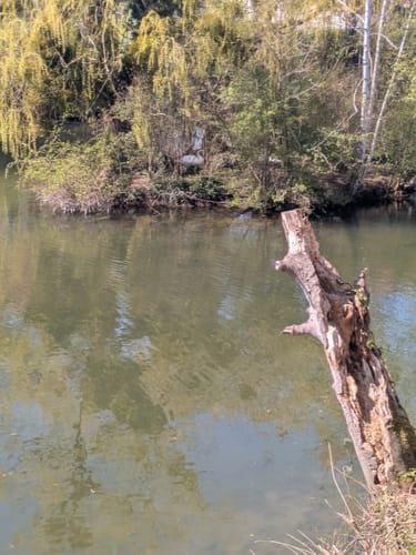 Um den Hohnsensee