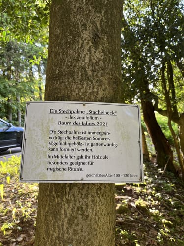 Höhenrundweg Rotensol