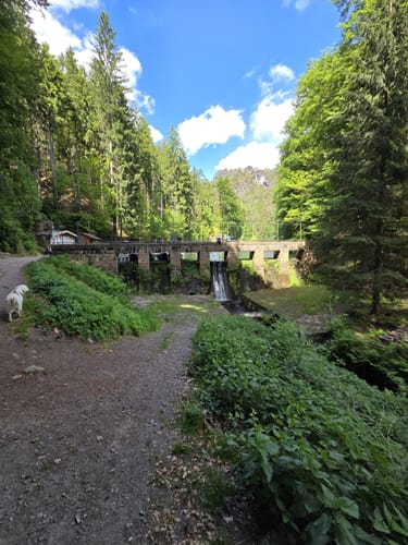 Mittelalter-Tour zur Felsenburg Neurathen und den Schwedenlöchern [CLOSED]