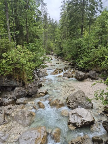 Hintersee-Zauberwald-Ramsau