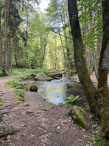 Rund um den Leuchtenberg