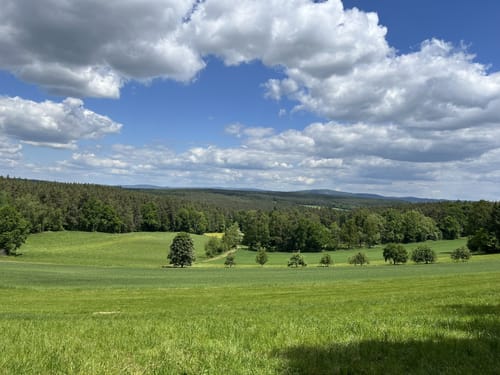 Rund um den Leuchtenberg