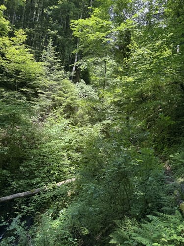 Zur Höllschlucht ab Hofen