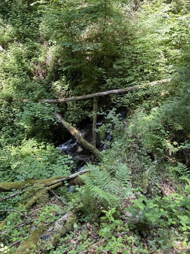 Zur Höllschlucht ab Hofen