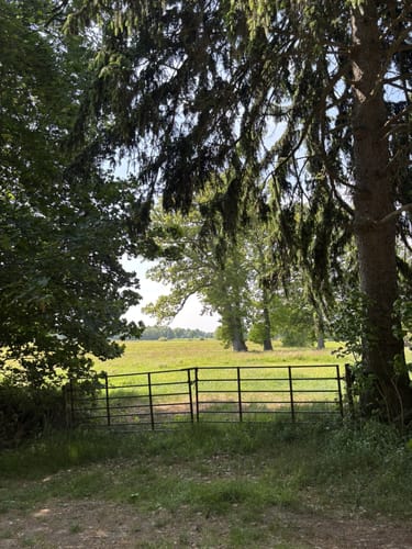 Das Sandhausener und Hamberger Moor