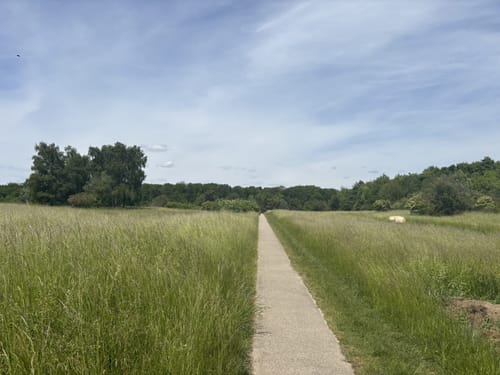 Heilbronner Rundwanderweg 3