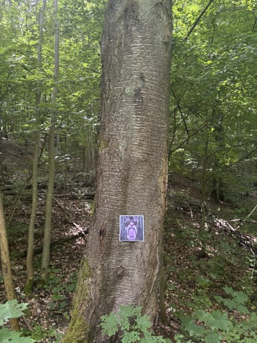 Heilbronner Rundwanderweg 3