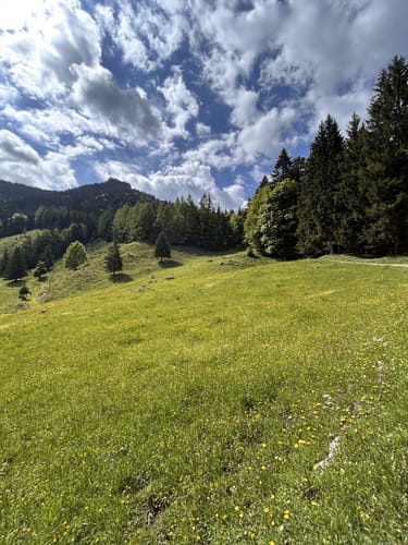 Rundweg: Hochries - Karkopf - Feichteck
