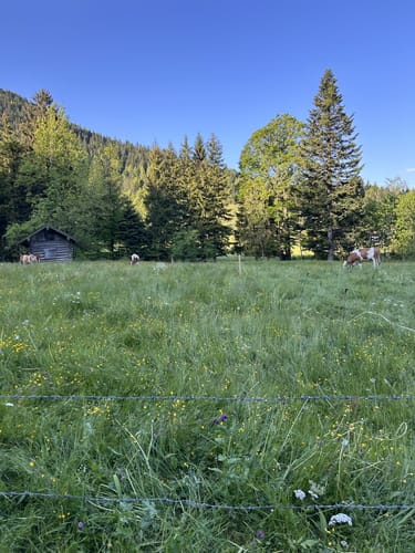 Rundweg: Hochries - Karkopf - Feichteck