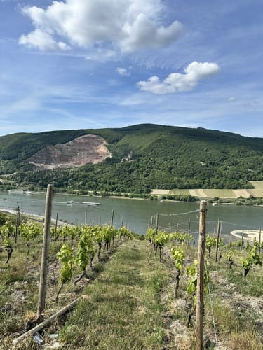 Rheinsteig Etappe 17: Lorch - Rüdesheim