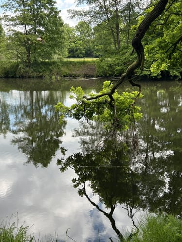 Frankenberg - Zschopau Runde