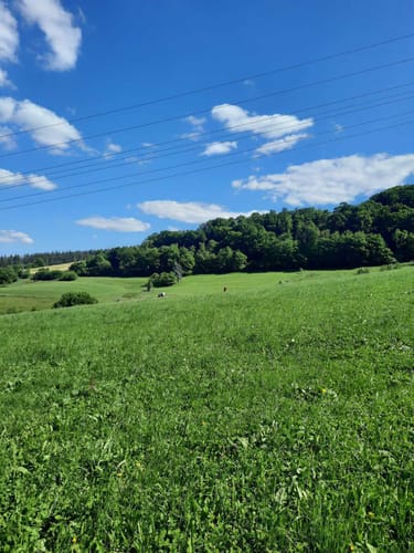 WesterwaldSteig Etappe 16: Waldbreitbach - Bad Hönningen